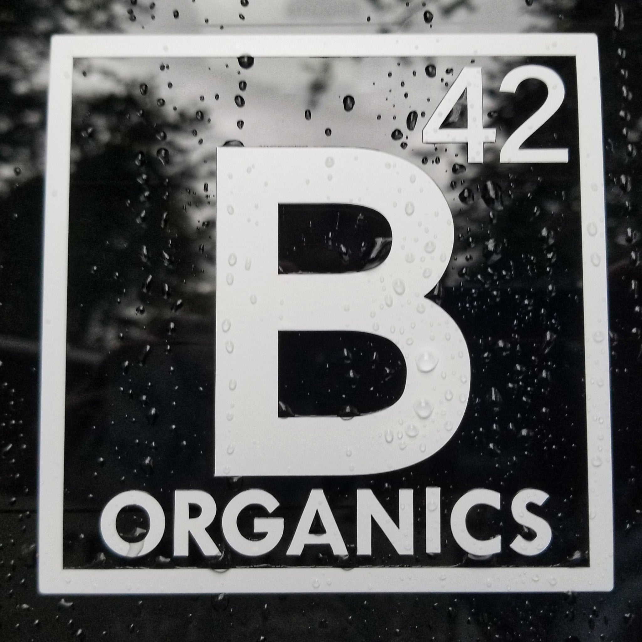 Blue 42 Organics Logo Transfer Sticker
